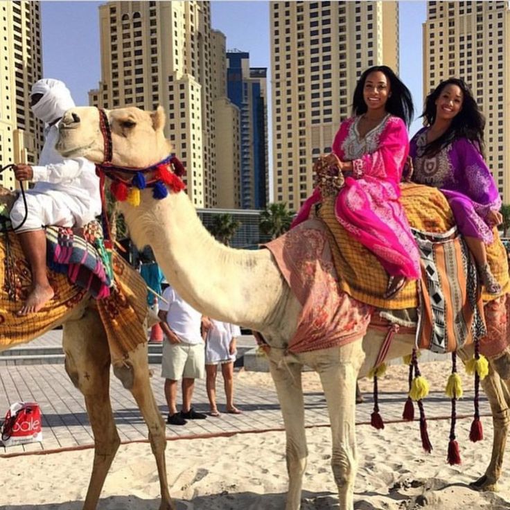 b0d2b6a153b5239992d501ea10e757be